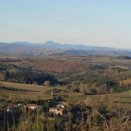 Maison De Caractere Avec Jardin, Ideale Famille, Pres De Brioude, Prox. Baignade Et - Fr-1-582-314 *