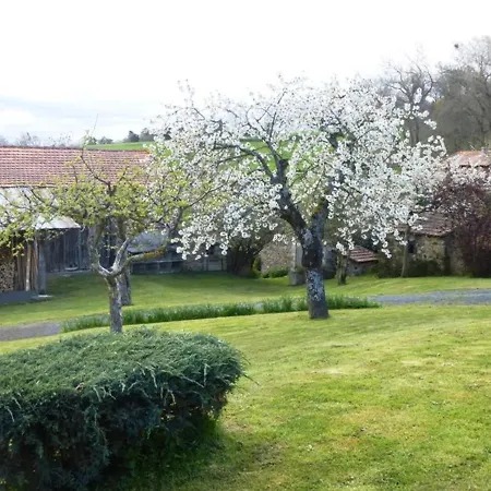 Maison De Caractere Avec Jardin, Ideale Famille, Pres De Brioude, Prox. Baignade Et - Fr-1-582-314 منزل ريفي Saint-Just-pres-Brioude