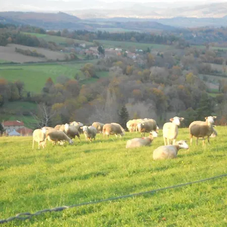 Maison De Caractere Avec Jardin, Ideale Famille, Pres De Brioude, Prox. Baignade Et - Fr-1-582-314 Дом отдыха *