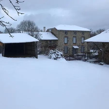 Maison De Caractere Avec Jardin, Ideale Famille, Pres De Brioude, Prox. Baignade Et - Fr-1-582-314 منزل ريفي