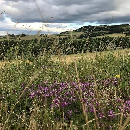 Maison De Caractere Avec Jardin, Ideale Famille, Pres De Brioude, Prox. Baignade Et - Fr-1-582-314 Saint-Just-pres-Brioude