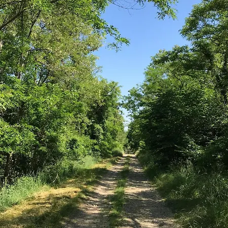 Maison De Caractere Avec Jardin, Ideale Famille, Pres De Brioude, Prox. Baignade Et - Fr-1-582-314 Дом отдыха Saint-Just-pres-Brioude